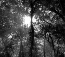 Avernal Oath : Avernal Oath Avernal Oath : Avernal Oath